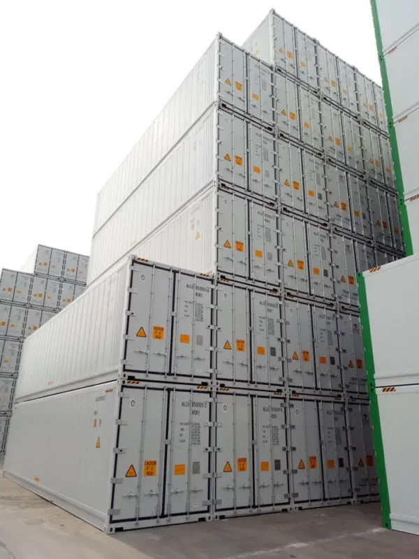 45ft Refrigerated Container